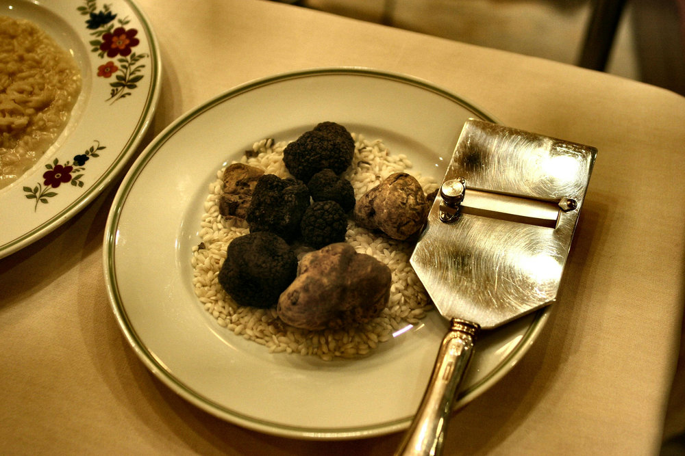 Truffe noire sous la cendre