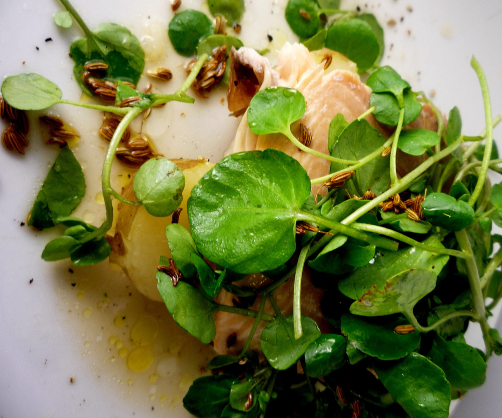 Rainbow trout with fennel