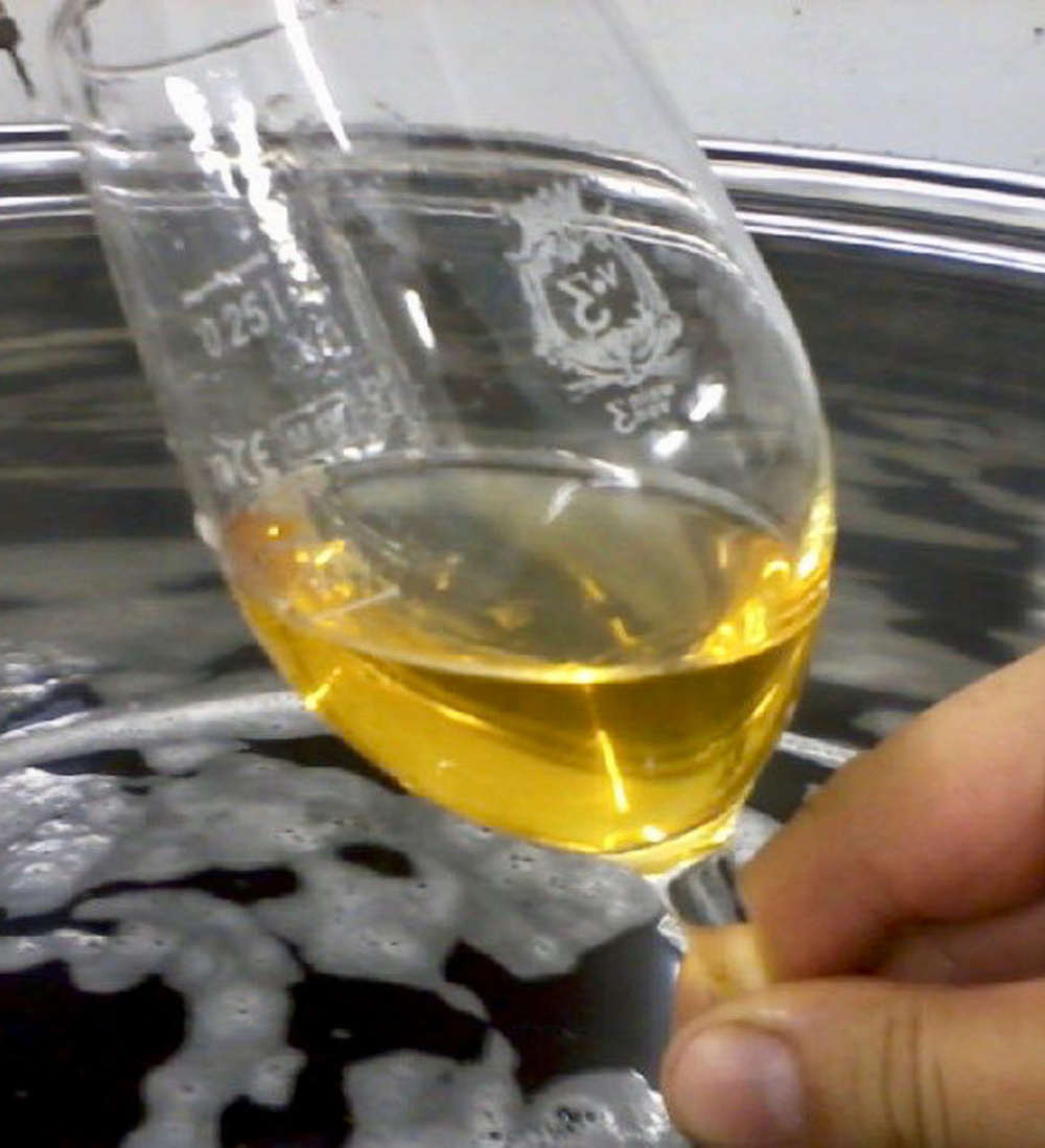 Alsace Grand cru Sylvaner