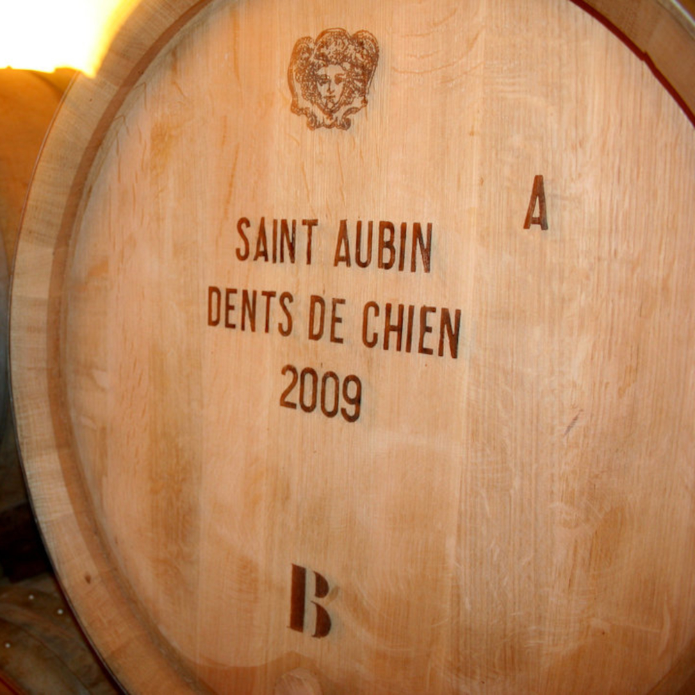 Saint-Aubin Premier cru blanc