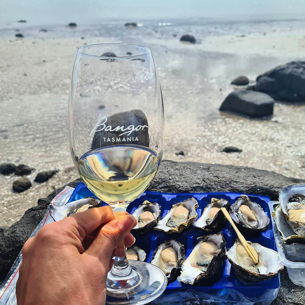 Coteaux champenois blanc