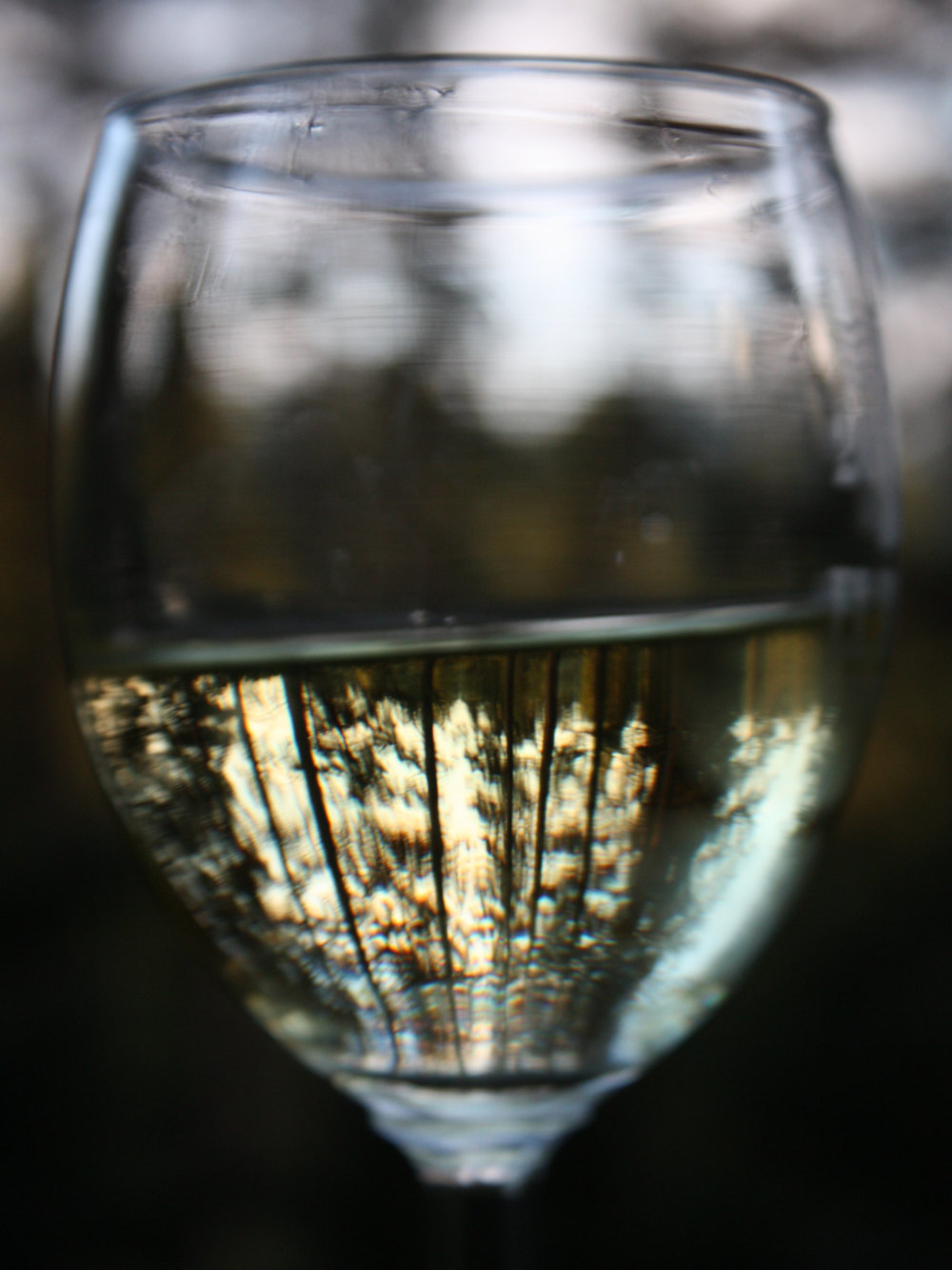 Côtes du Jura blanc