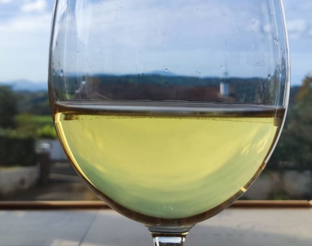 Grignan les Adhémar blanc primeur