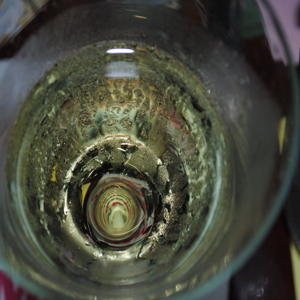 Muscadet Primeur