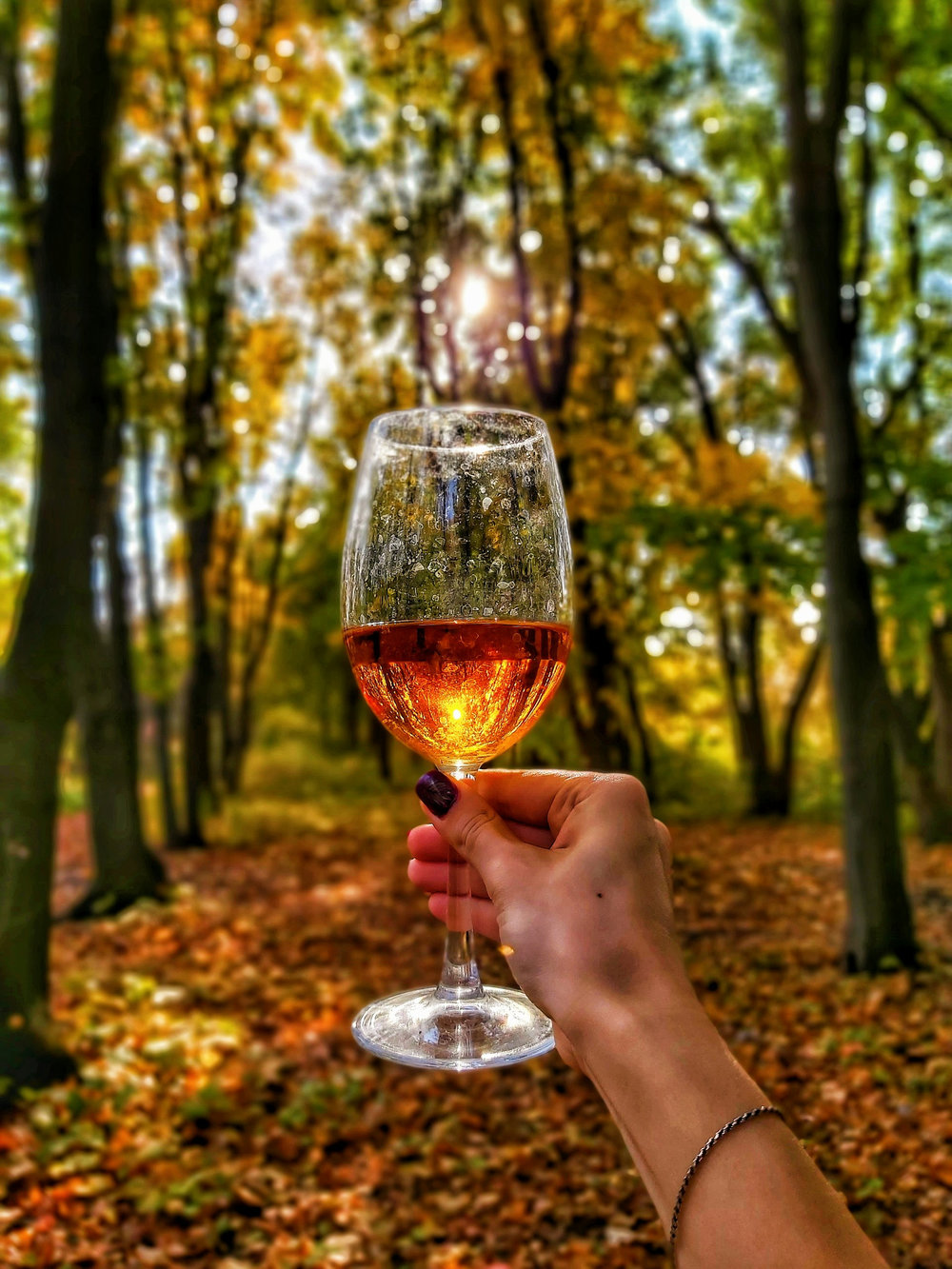 Côtes de Bordeaux Francs blanc Liquoreux