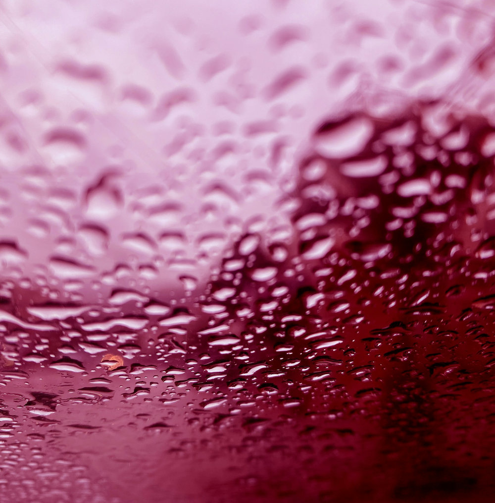Grand Roussillon rosé