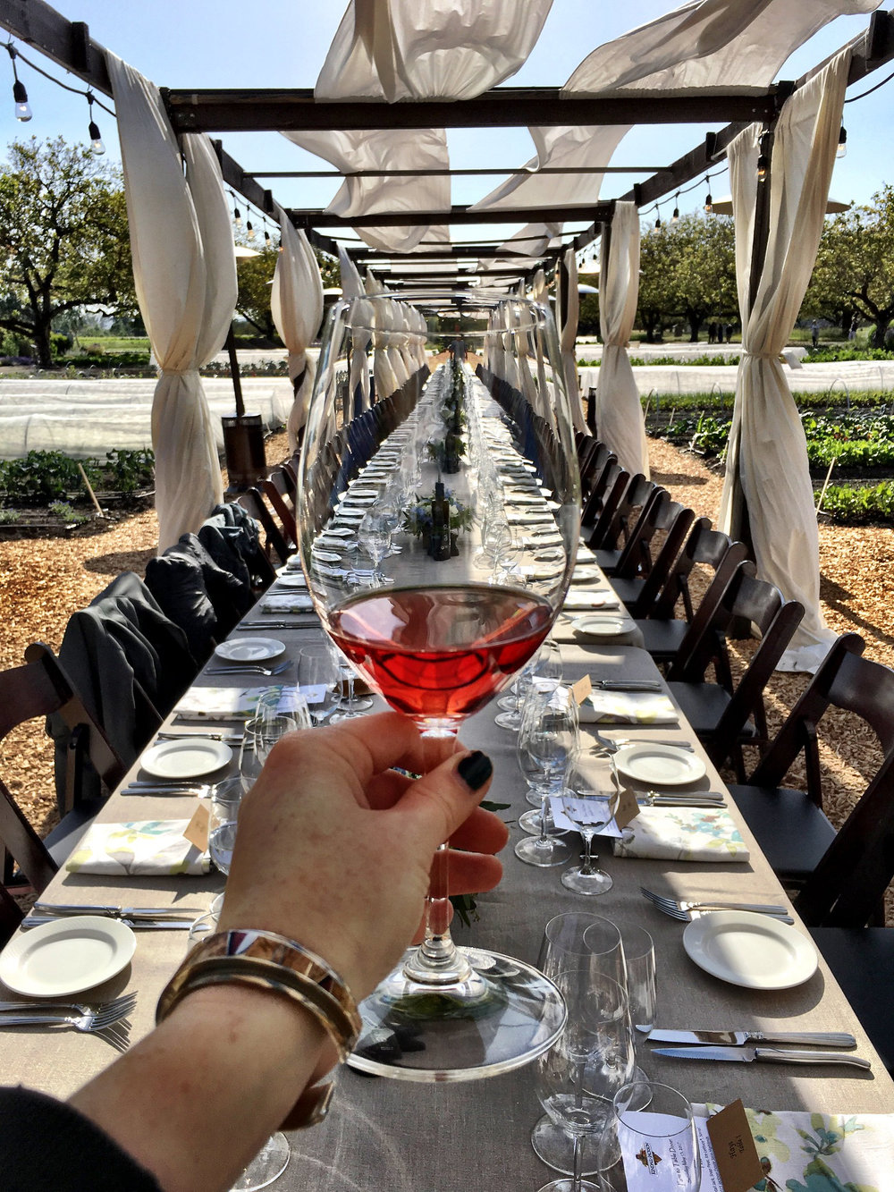 Cassis rosé