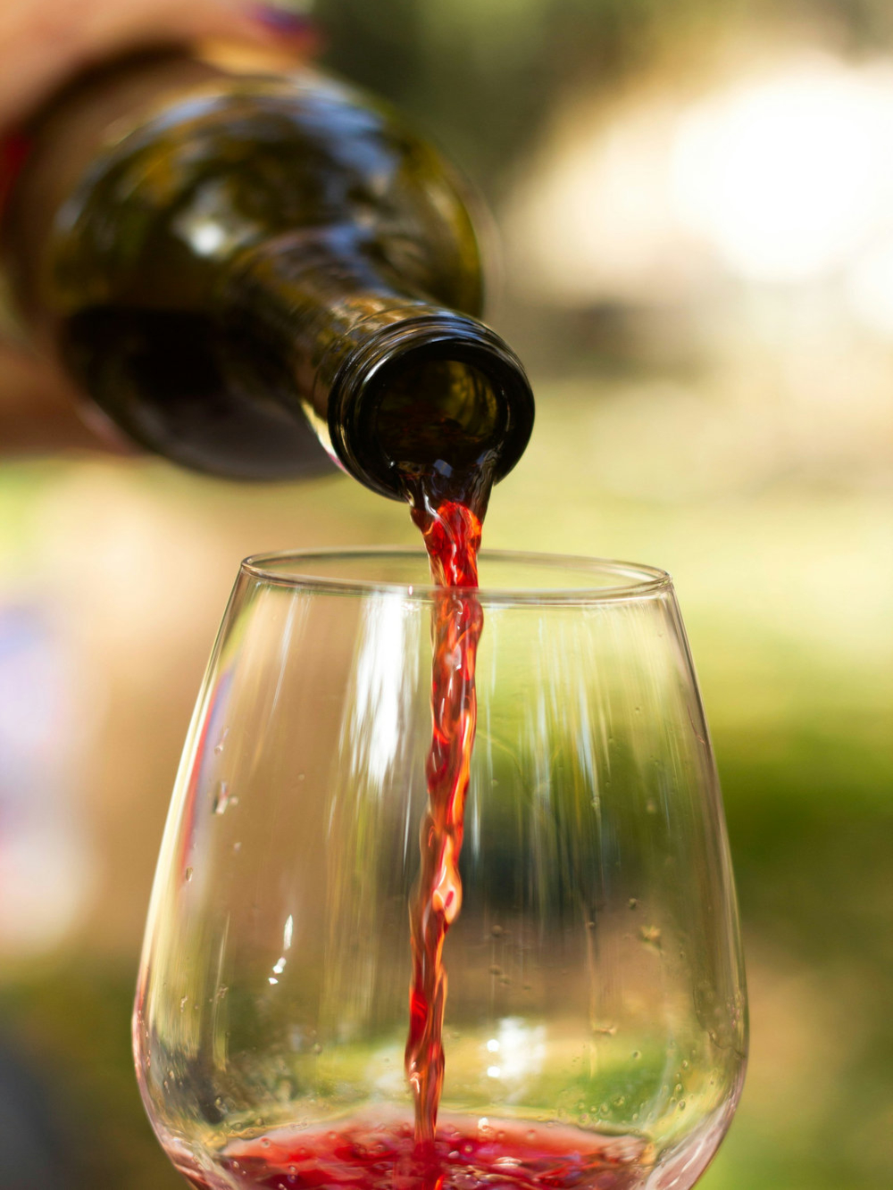 Anjou Primeur Gamay