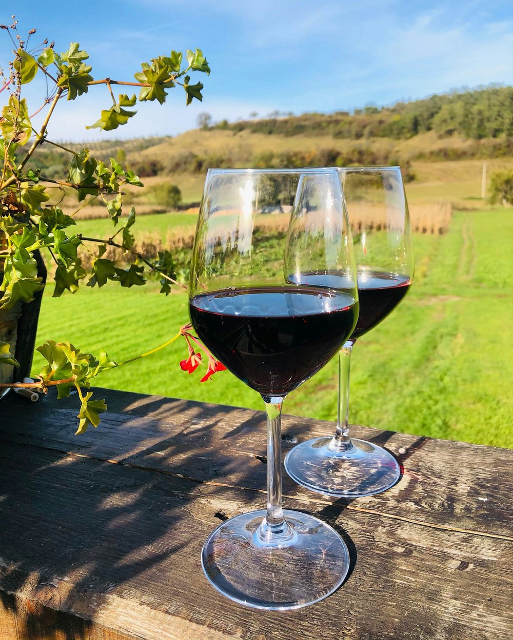 Arbois Pupillin rouge