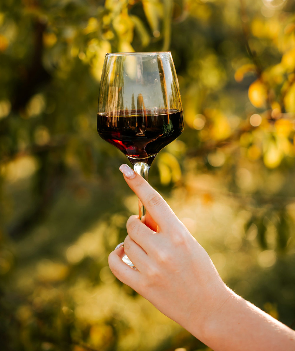 Bugey Gamay