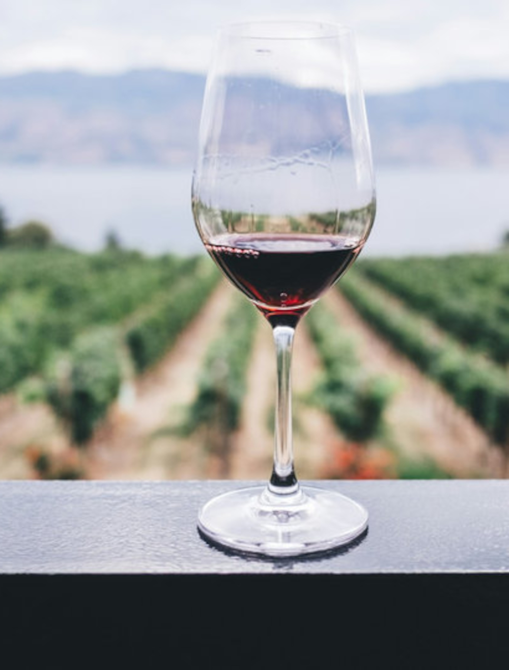 Corbières rouge