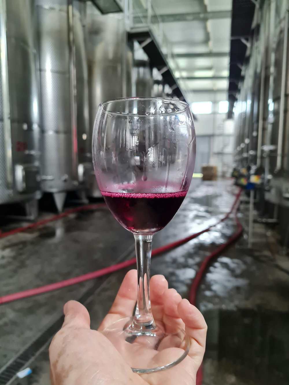 Meursault Premier cru rouge
