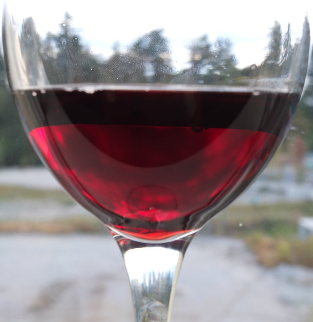 Ventoux rouge Primeur