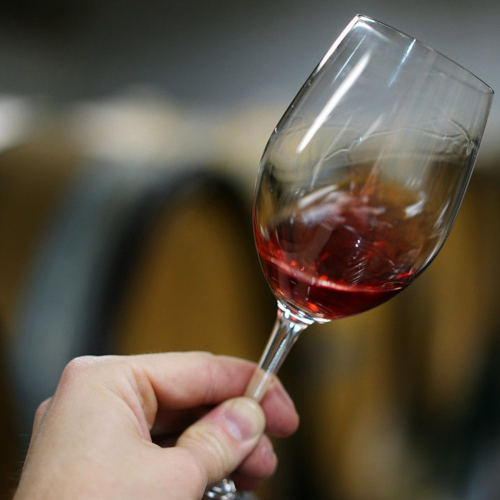Arbois Pupillin Pinot noir rouge