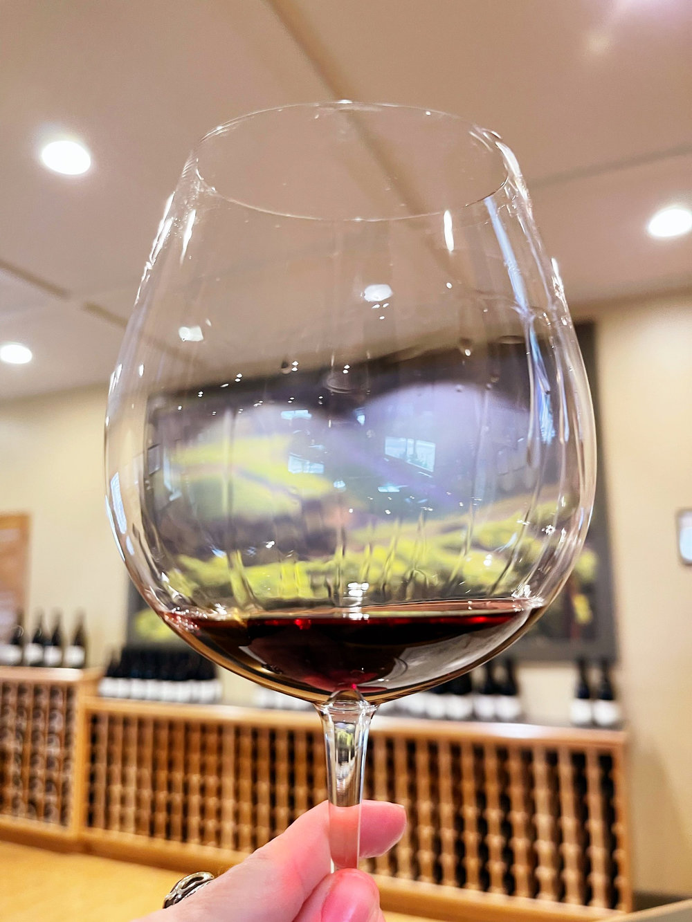 Bugey Pinot noir