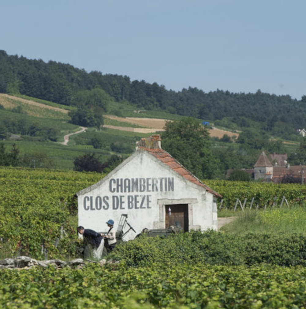 Chambertin-Clos de Bèze