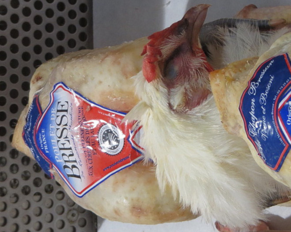 Bresse chicken with cream sauce